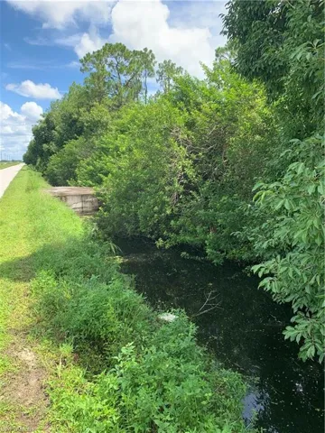 View of nature