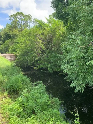 View of nature
