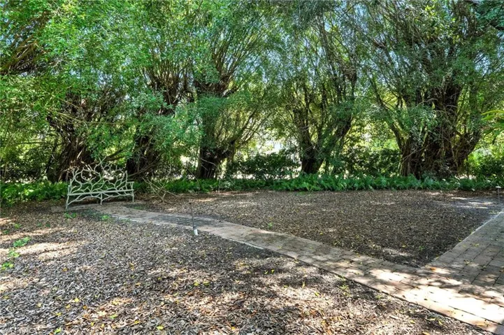 View of yard - Virtually Edited Image