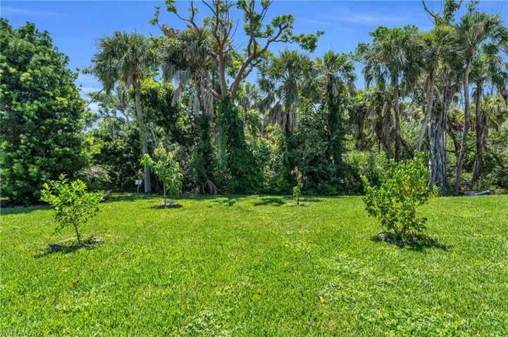 View of front yard