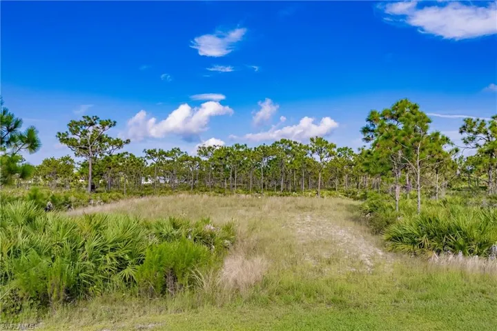 View of landscape