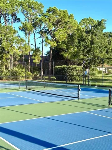 Dual blue and green multi-sport courts with white line markings