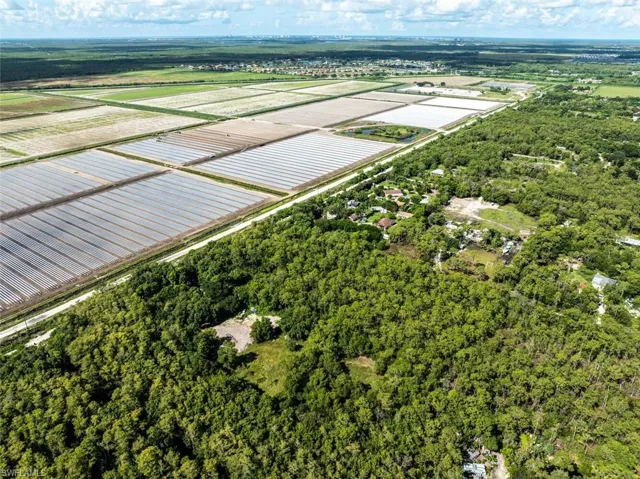 Drone / aerial view of a forest
