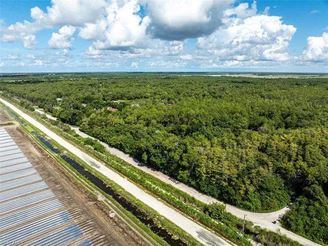Bird's eye view of a heavily wooded area