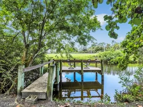 Dock area featuring a water view and view of wooded area