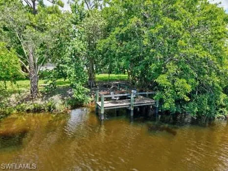 Dock featuring a water view and view of scattered trees
