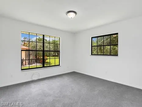 Unfurnished room featuring healthy amount of natural light and carpet floors