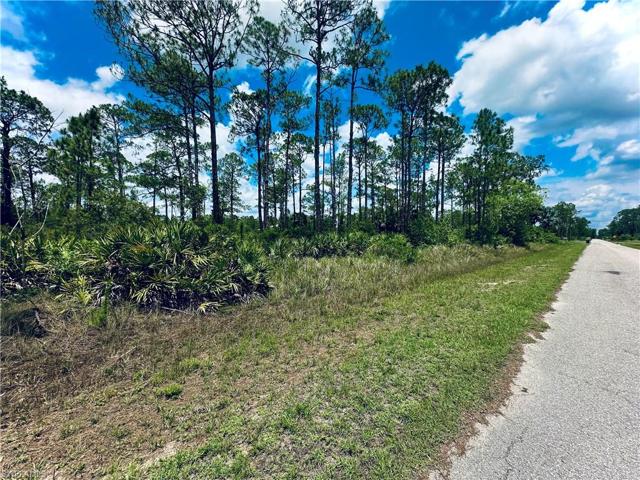 1015 Euclid AVE, LEHIGH ACRES FL 33972