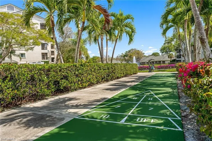 Community Shuffleboard