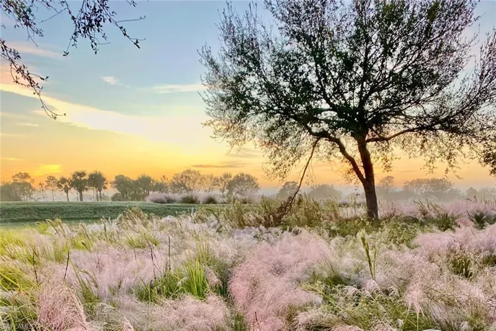 View from your backyard