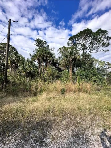 View of nature