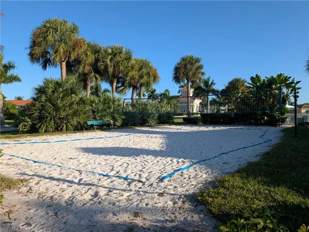 Volley Ball