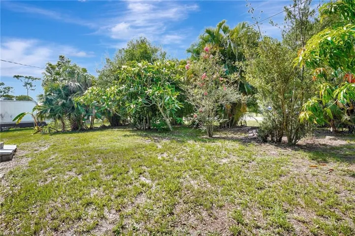 View of grassy yard