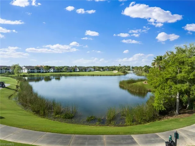 pond view 2