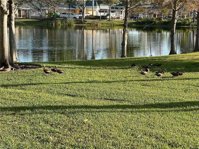 View of water feature