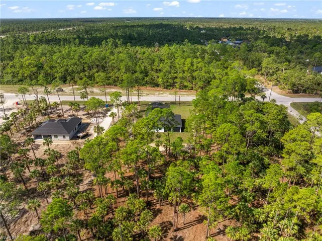 Bird's eye view featuring a forest view