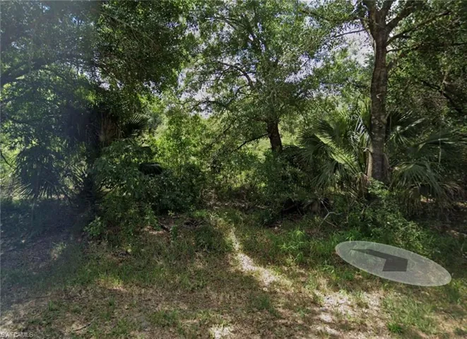 1317 Canton Ave, Lehigh Acres, Florida 33972