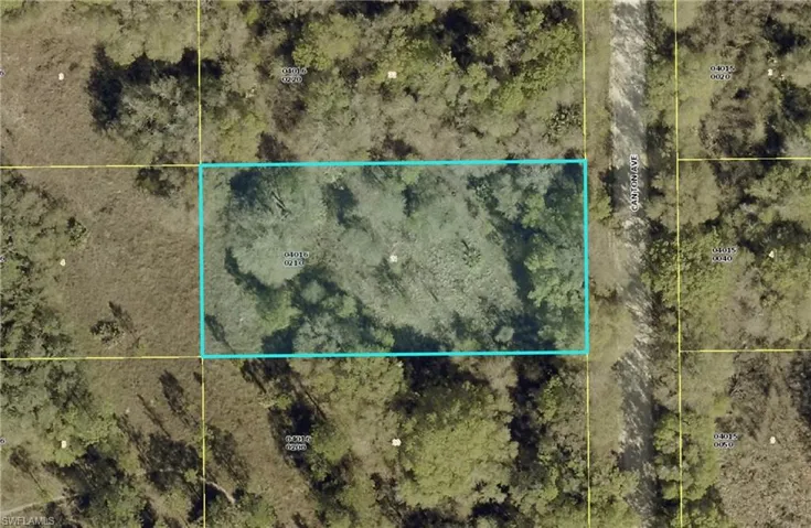 1317 Canton Ave, Lehigh Acres, Florida 33972