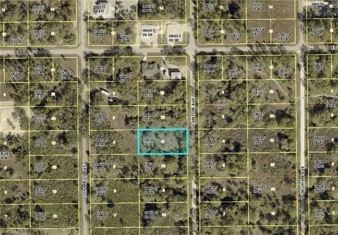 1317 Canton Ave, Lehigh Acres, Florida 33972
