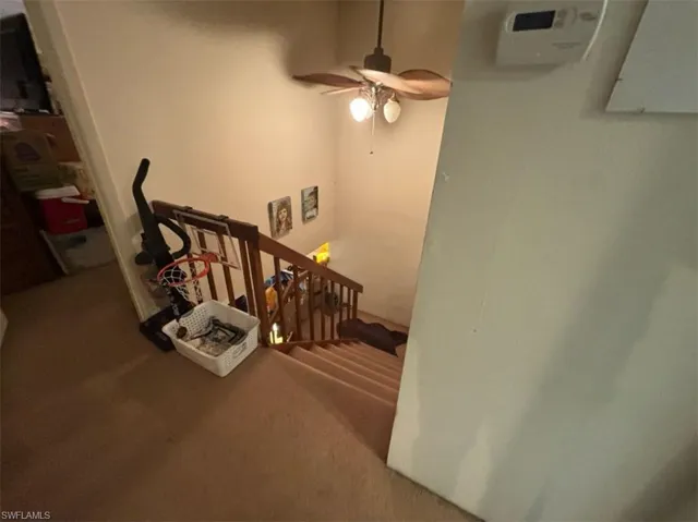 Stairway featuring carpet and ceiling fan