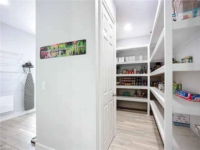 Kitchen Pantry (right side) and Entrance to Laundry room (left side)