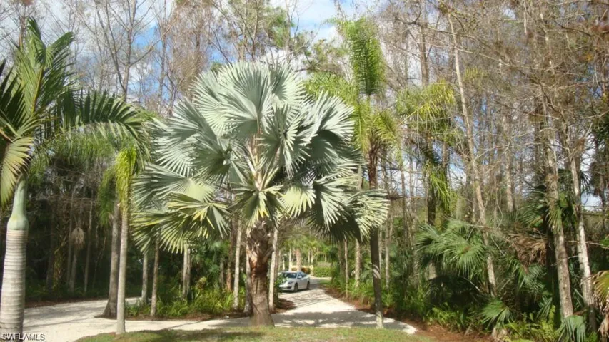 View of home's community