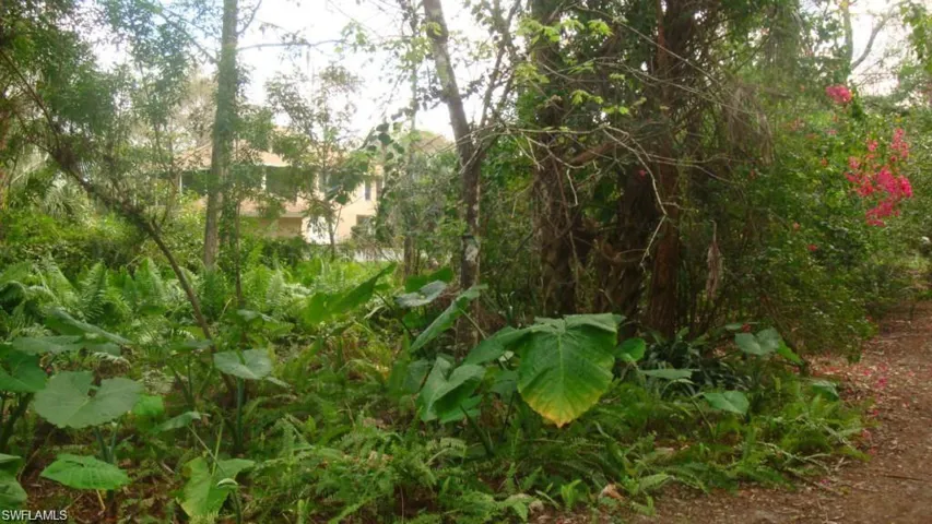 View of undeveloped land