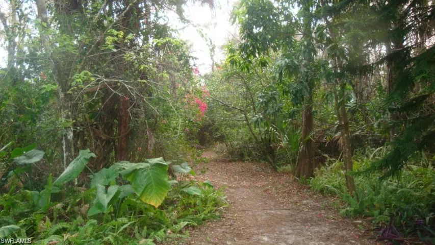 View of woods