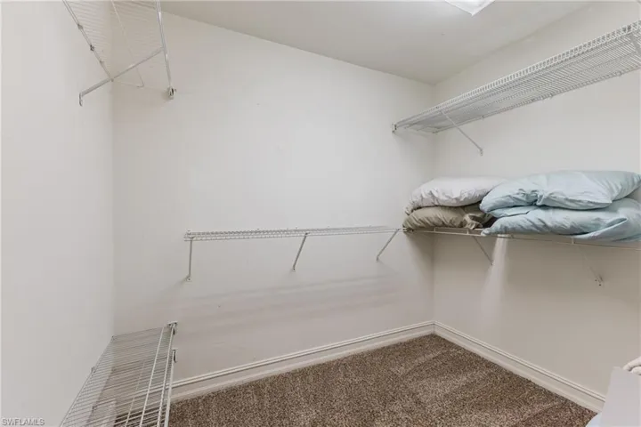 Walk-in closet with carpet flooring, white walls, and built-in wire shelving