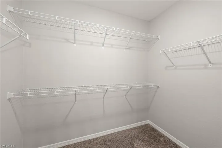 Spacious closet featuring carpet