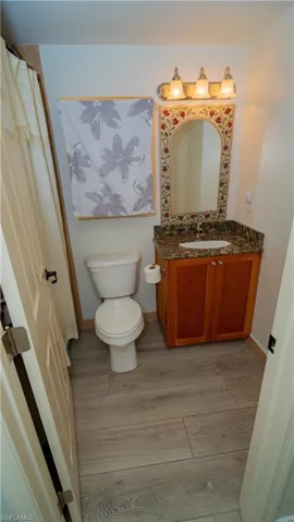 Bathroom featuring hardwood / wood-style flooring, toilet, and vanity