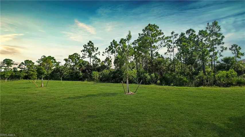 View of yard at dusk
