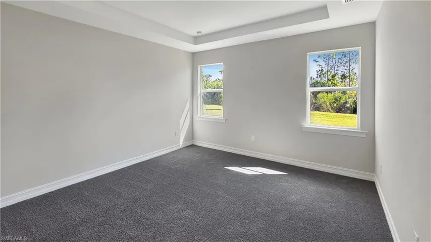 Carpeted spare room with a wealth of natural light and a tray ceiling