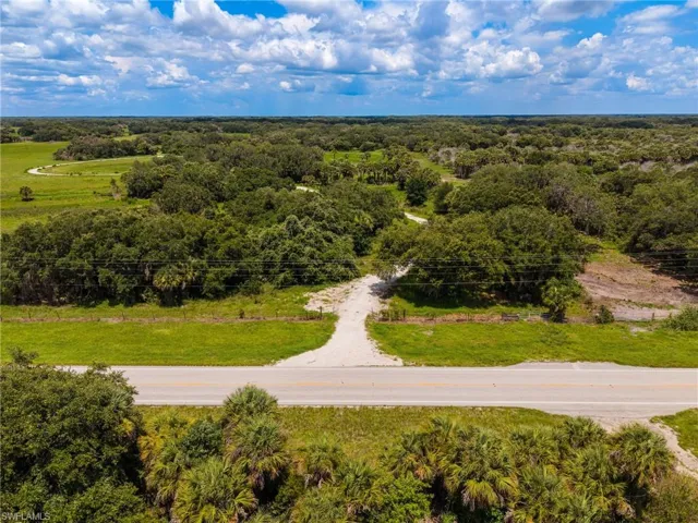 Expansive land parcel featuring dense natural foliage and a visible road frontage