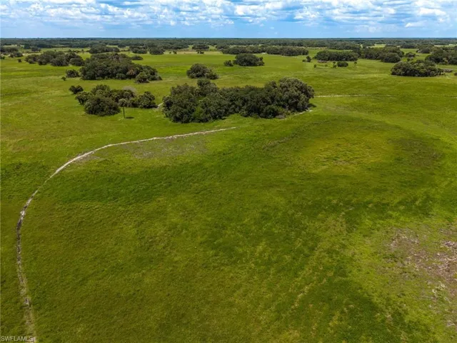 Expansive green acreage with scattered mature tree clusters and a visible unpaved pathway