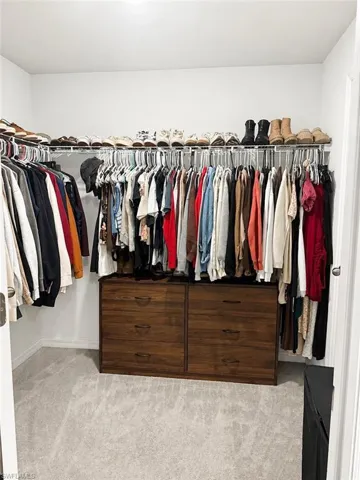 Walk-in closet featuring light gray carpeting, comprehensive wire shelving, and two built-in wood-finish drawer units