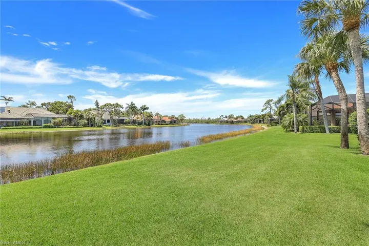 View from back yard