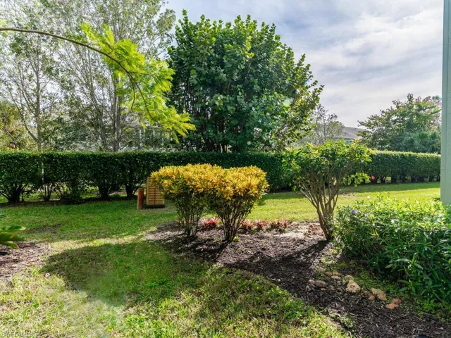 Yard View