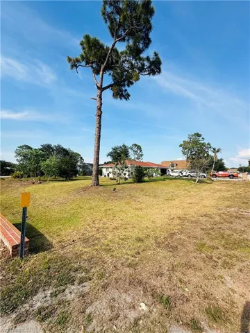 View of grassy yard