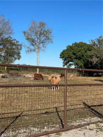 1220 A Rd, Labelle, Florida 33935
