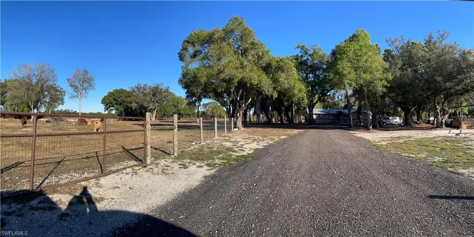 Gravel driveway extending through a wooded property