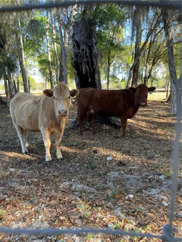 1220 A Rd, Labelle, Florida 33935