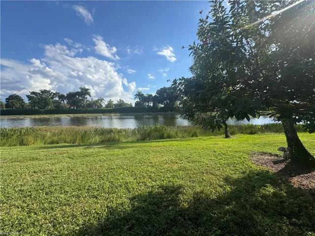 Lake view