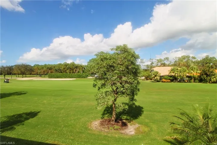 View from lanai