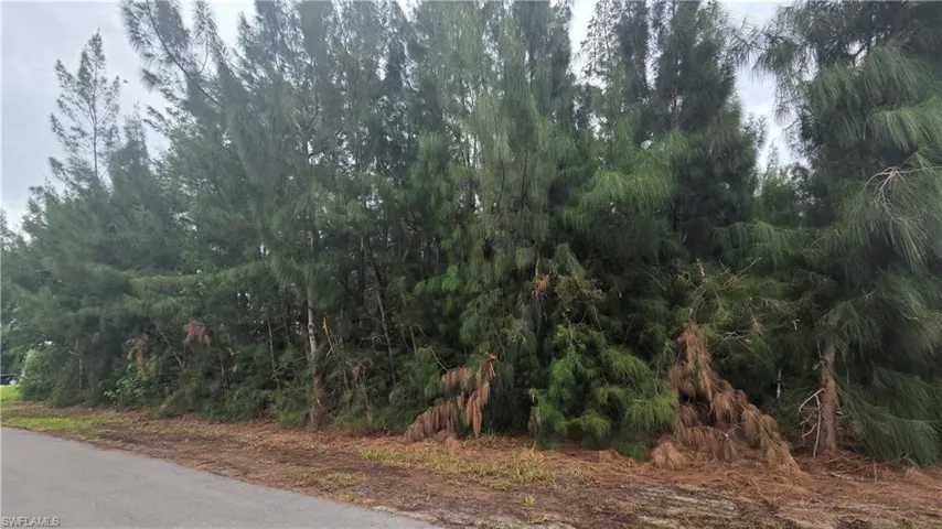 1121 Nw 24th Pl, Cape Coral, Florida 33993