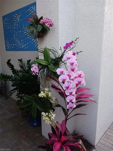 Gorgeous orchids by the front entry.