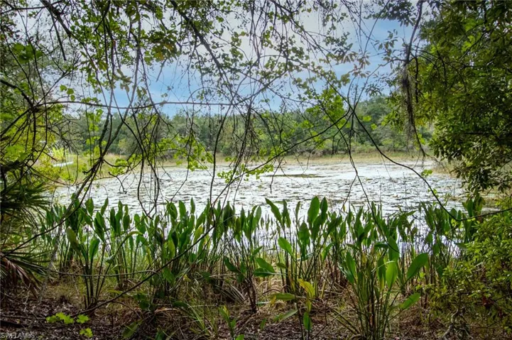 Water view featuring a heavily wooded area