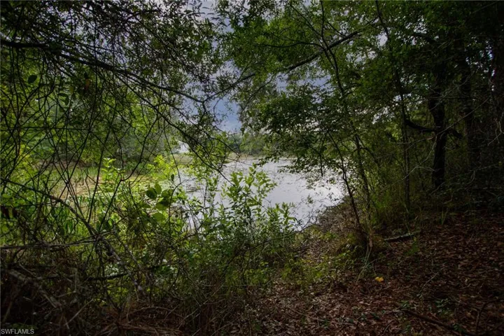 Water view