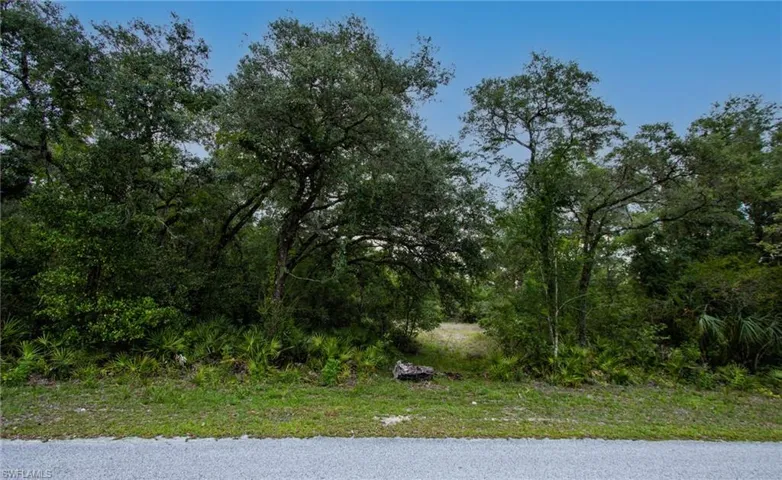 View of wooded area