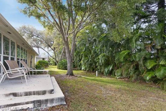 View of grassy yard